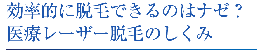 半永久的に脱毛できるのはナゼ？医療レーザー脱毛のしくみ